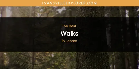 The Absolute Best Walks in Jasper